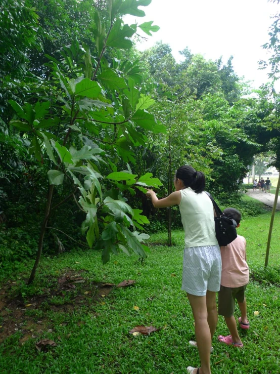 a couple of people standing in the grass with plants