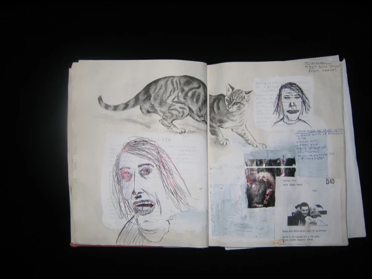 a drawing of a cat and woman and cat on a page