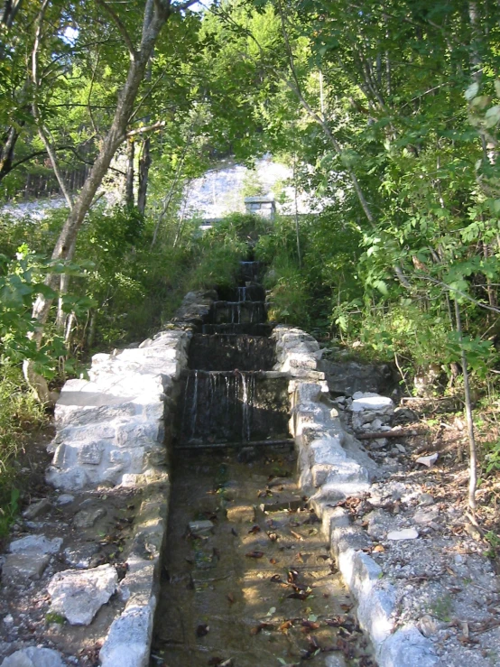 a large river in a forest filled with water