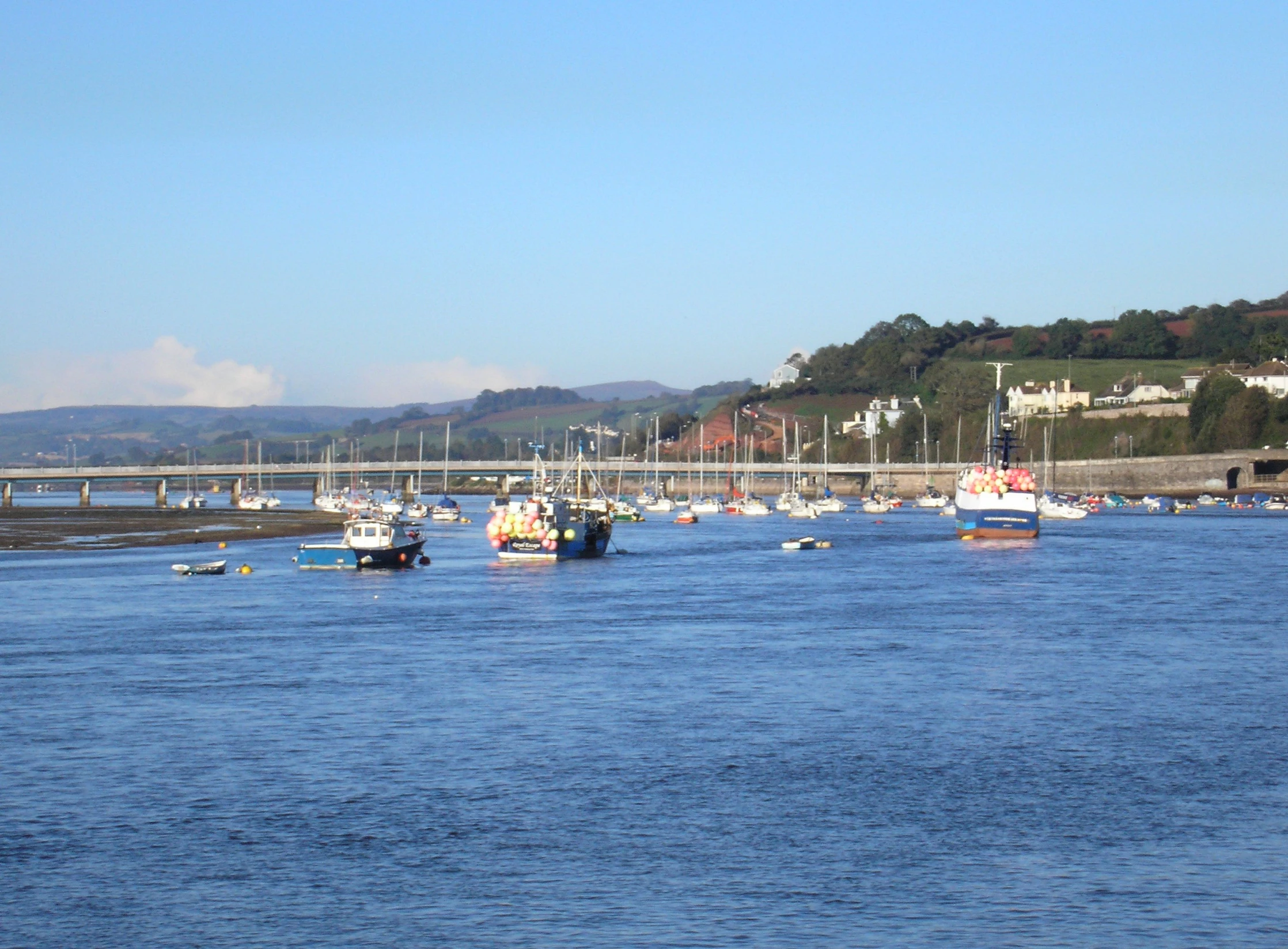 a harbor is filled with several different boats