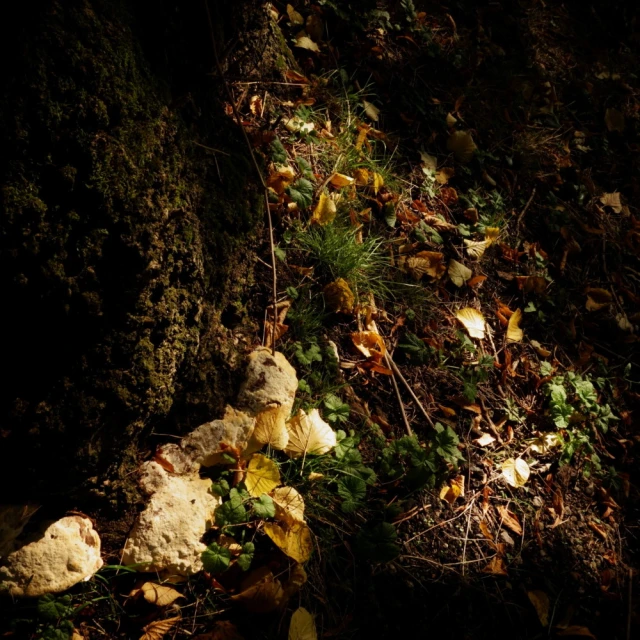 several stuffed animals sitting on the ground