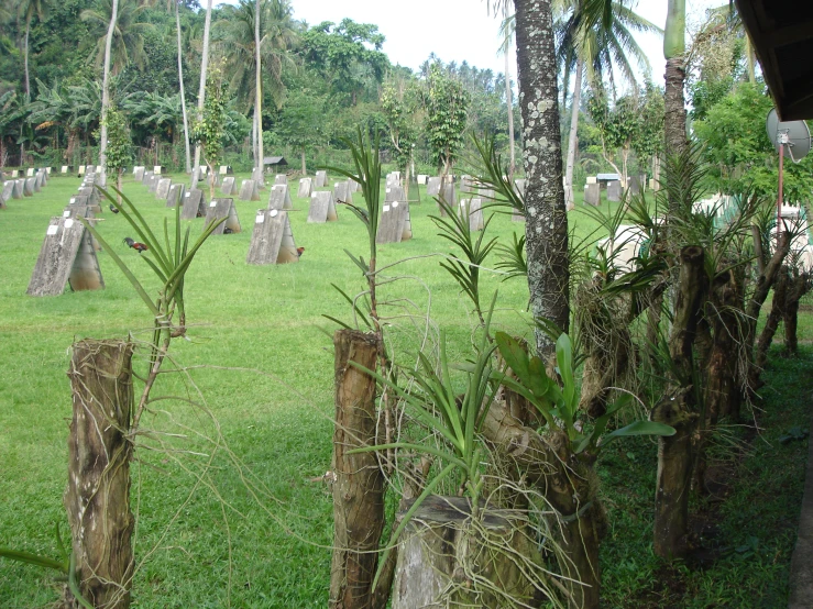 an outside cemetery with many headstones and trees