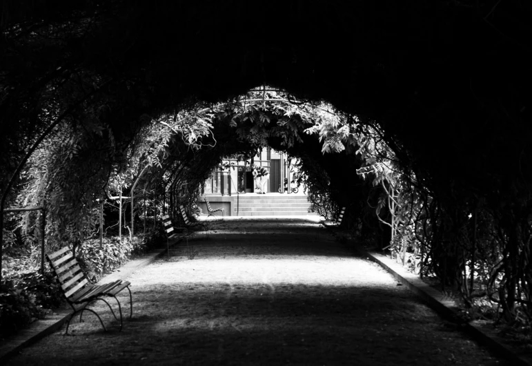 a path lined with arches leads down into an entrance