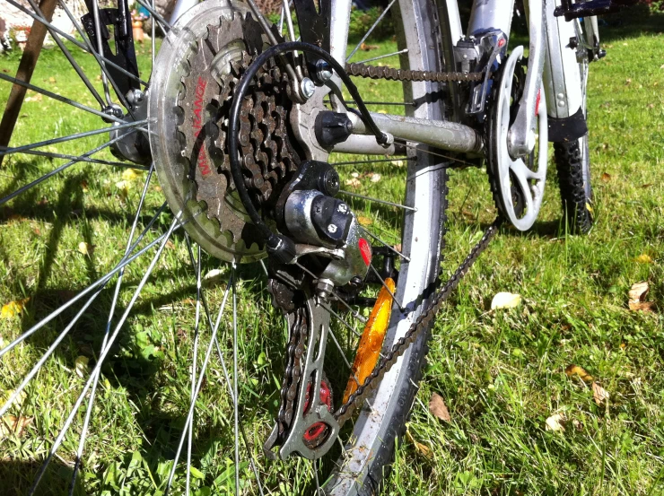 the bicycle is resting on the green grass