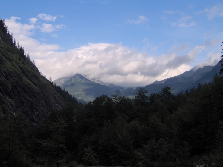 some hills and trees with cloudy sky in the background