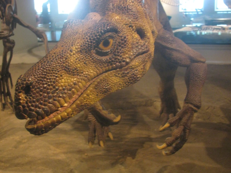 a close - up of a dinosaur's head near other dinosaurs