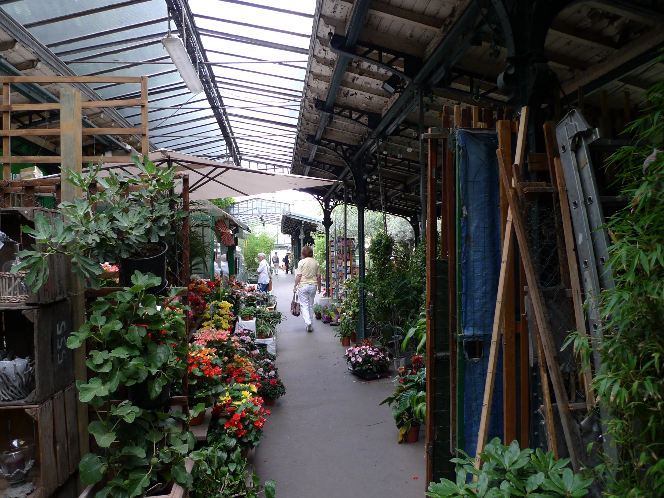 a garden center filled with lots of different types of plants