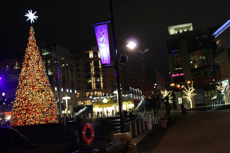 christmas tree in the middle of a city at night