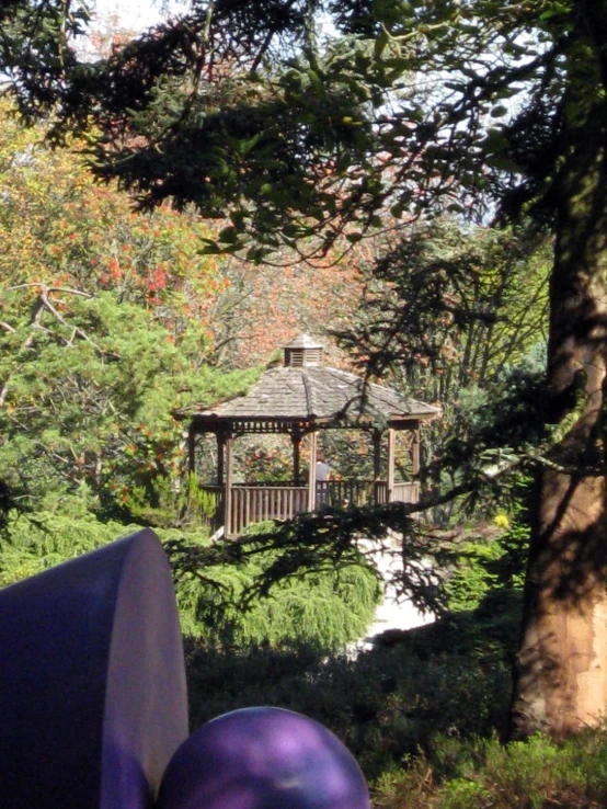 the gazebo is in the middle of the trees and walkway