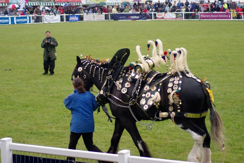 a man walking a horse dressed up as princesses