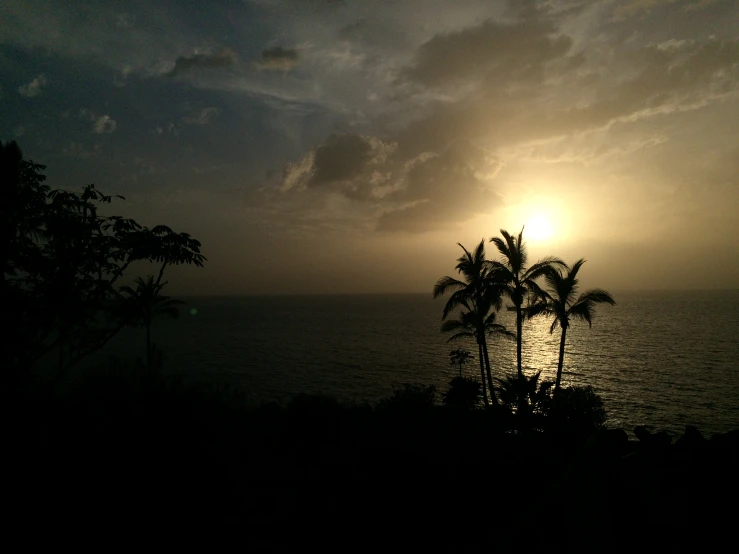 the sun setting over the ocean with palm trees