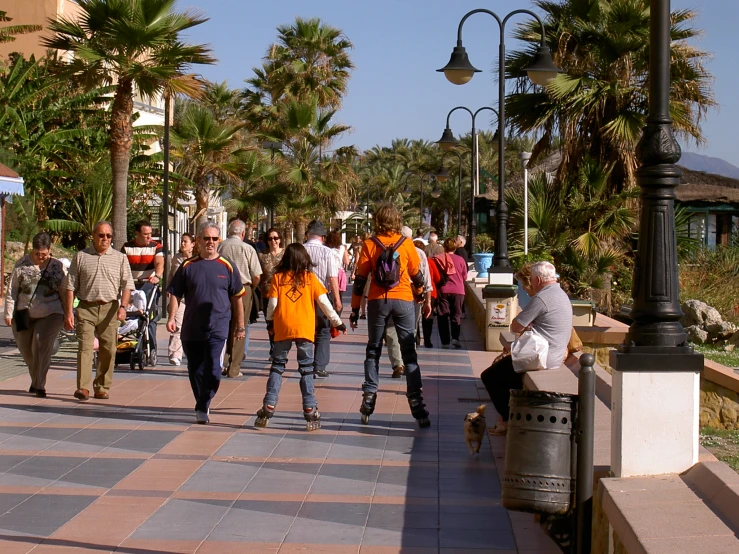 people walking along a city sidewalk near palm trees