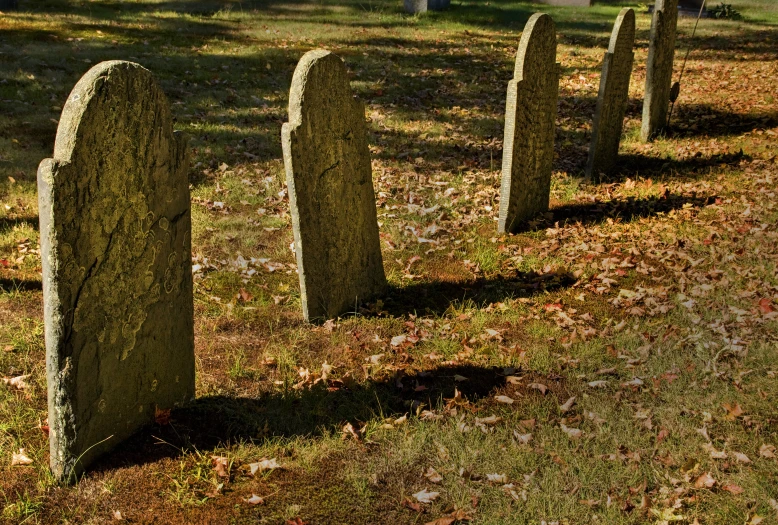 rows of headstones in a cemetery setting