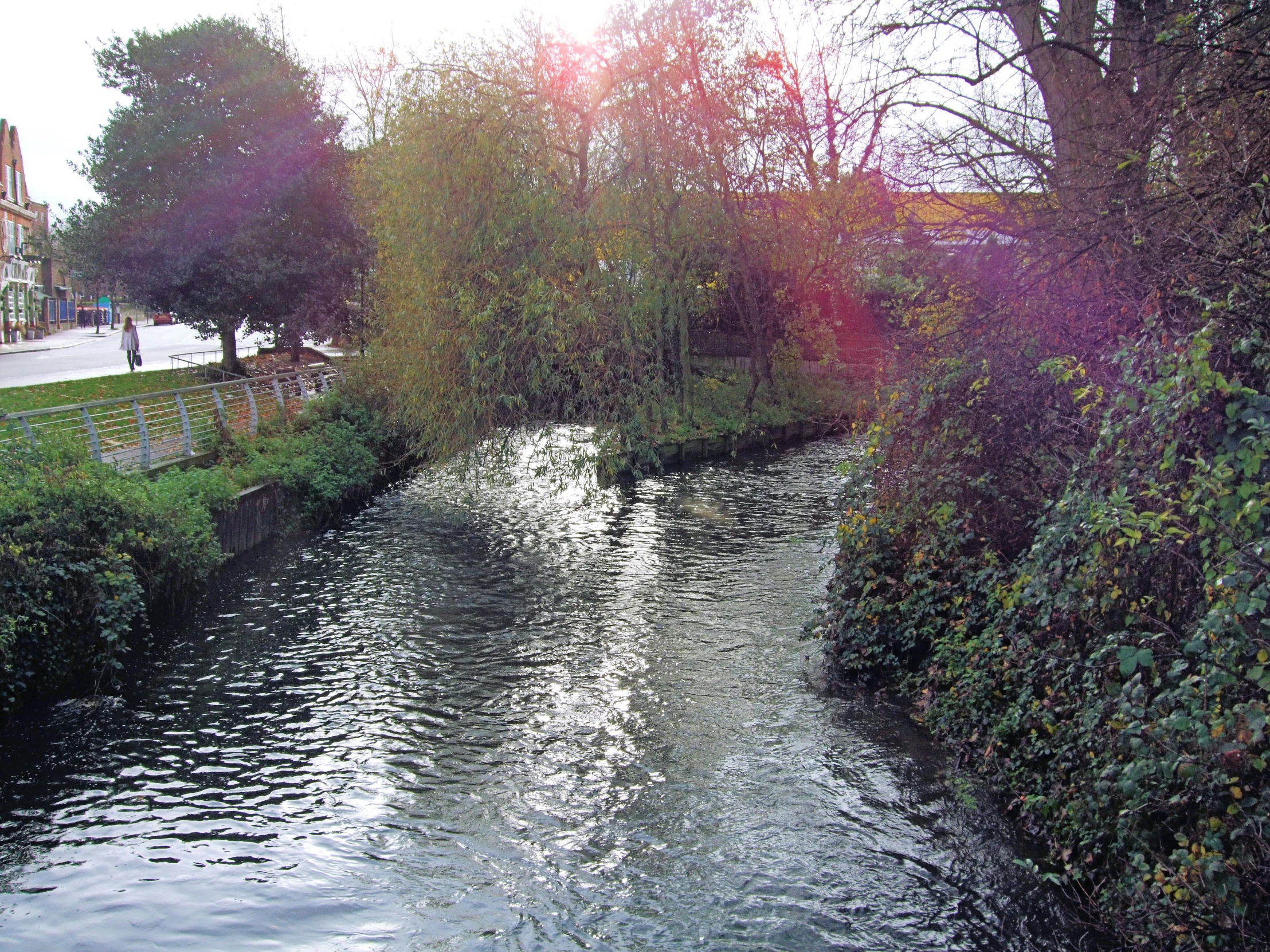 a small river surrounded by greenery next to a street