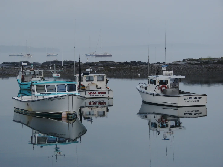 a group of boats parked side by side in the water