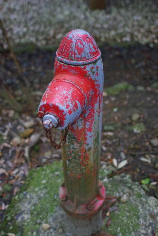 a fire hydrant sitting on the side of a road