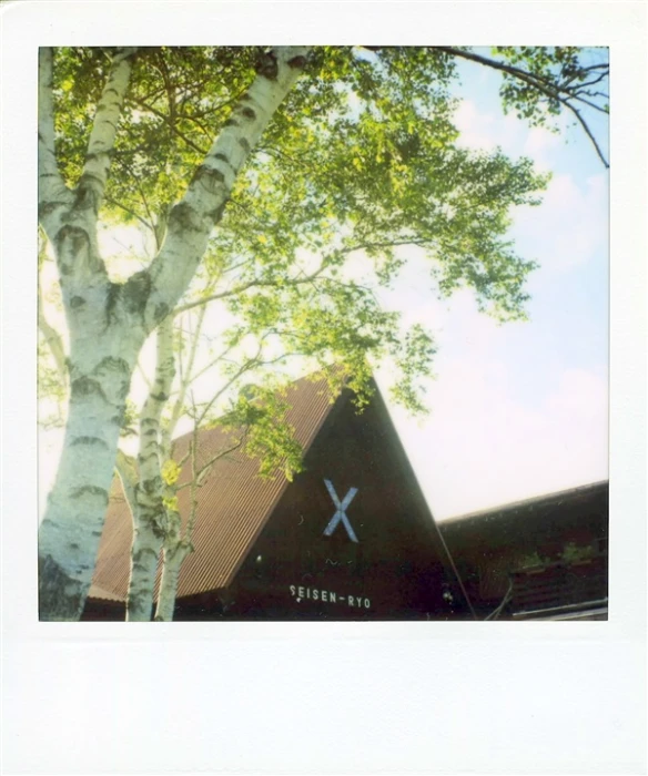 a picture of a large building and some trees