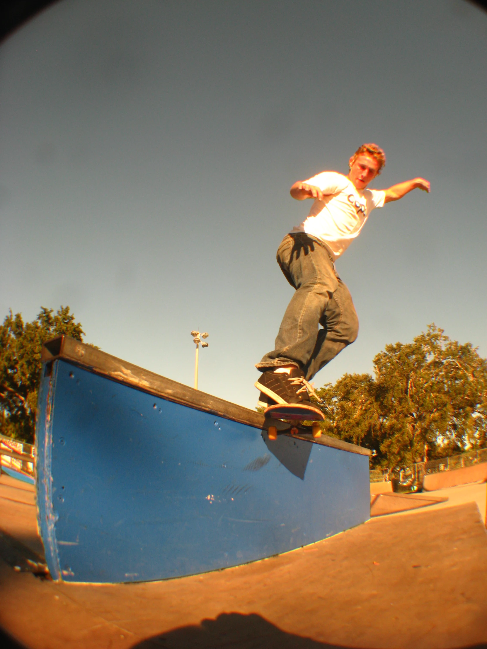 man on skateboard riding on ramp with tree and sky