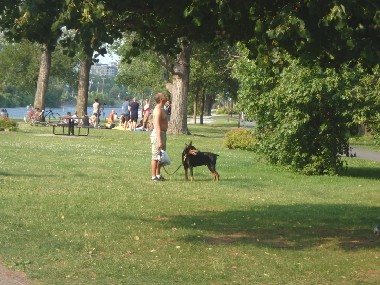 two people and a dog in the park on a sunny day