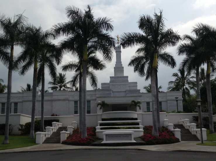 a white building with steps leading up to palm trees