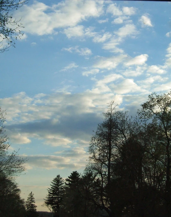 clouds are seen against a blue sky over trees