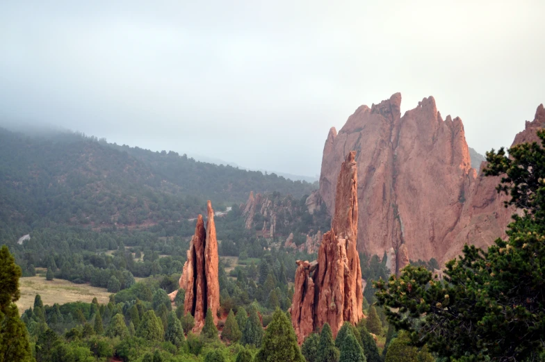 an area with many tall rocks and trees