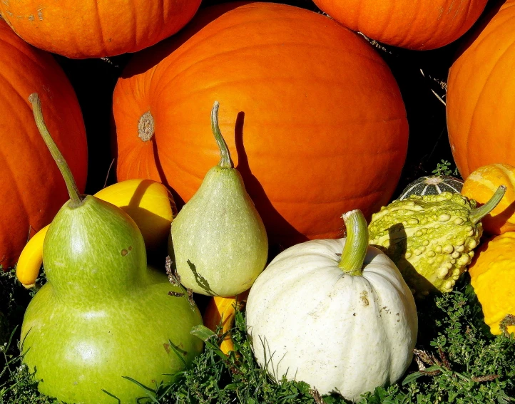 an arrangement of various fruits and vegetables sit together