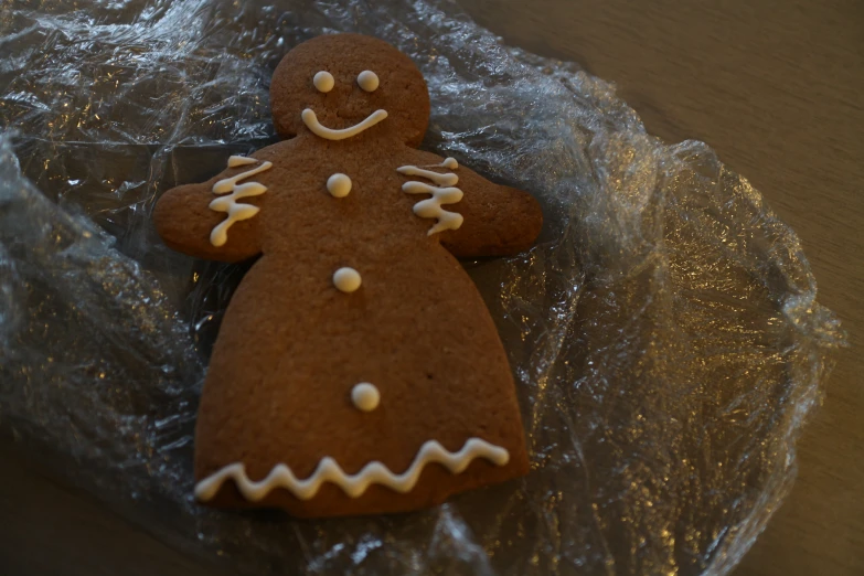 a close up of a brown ginger with white decorations