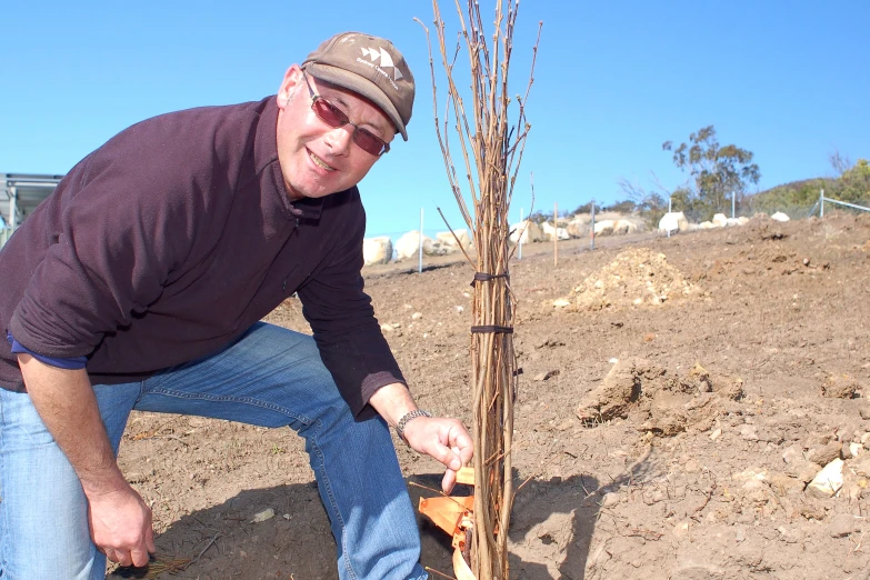 a man kneeling over a small tree in the dirt