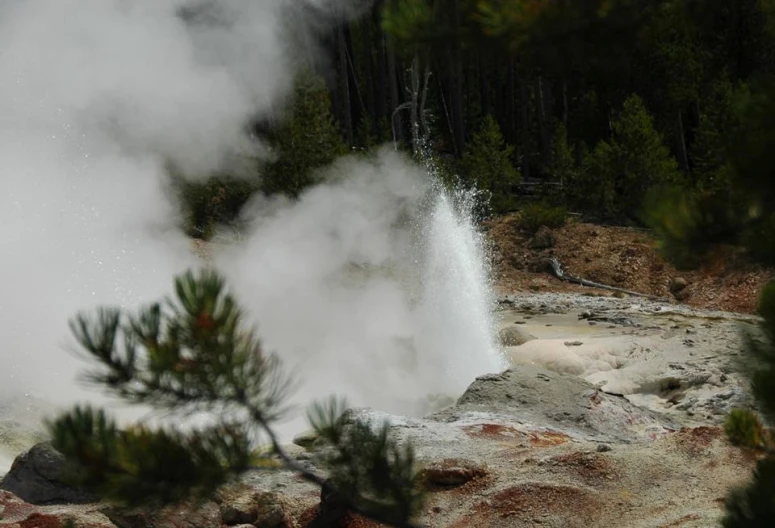 steam rising out of the ground as it rises in a forest