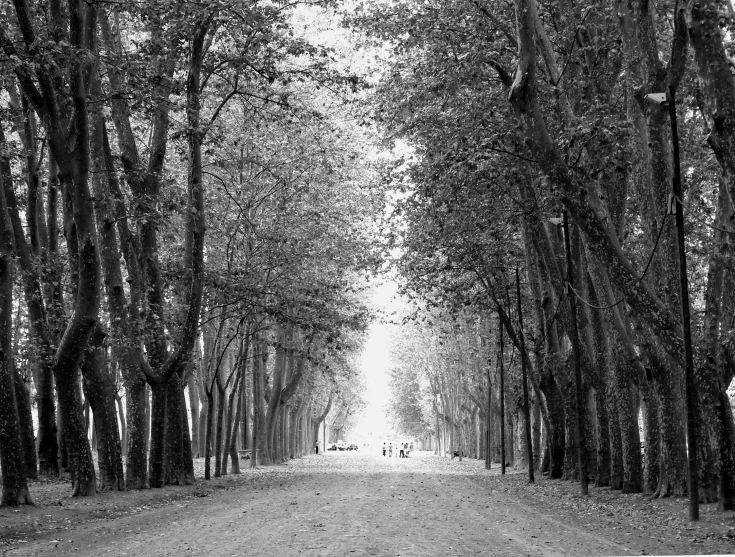 the empty road is very dark, and people are walking along