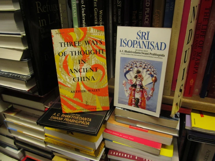 books are in the liry shelves with a variety of books