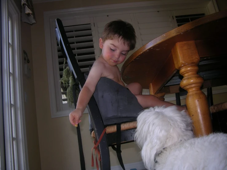 a child standing in front of a chair and petting a dog