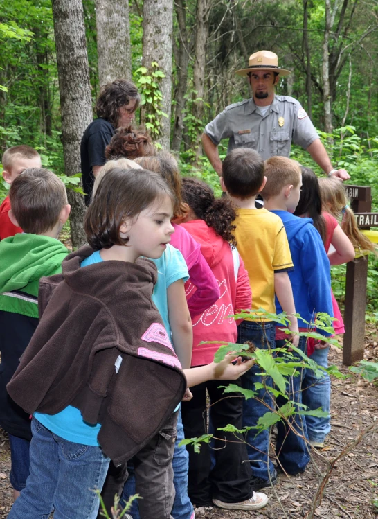 the scouts are observing the plants in the forest