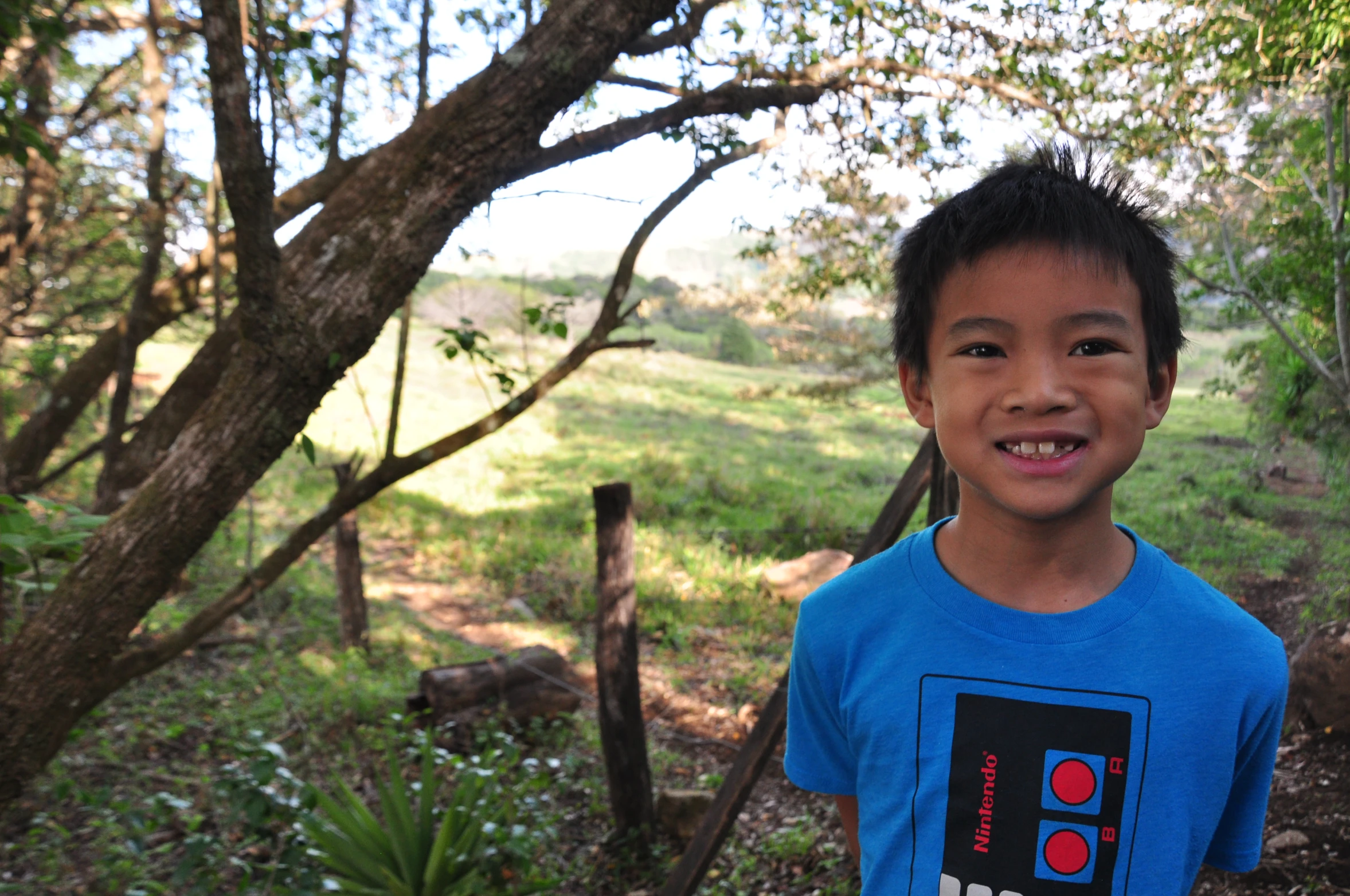 a boy is standing in the woods by a tree