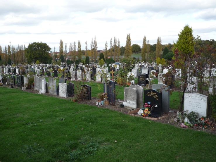an overview of a group of graveyards surrounded by trees