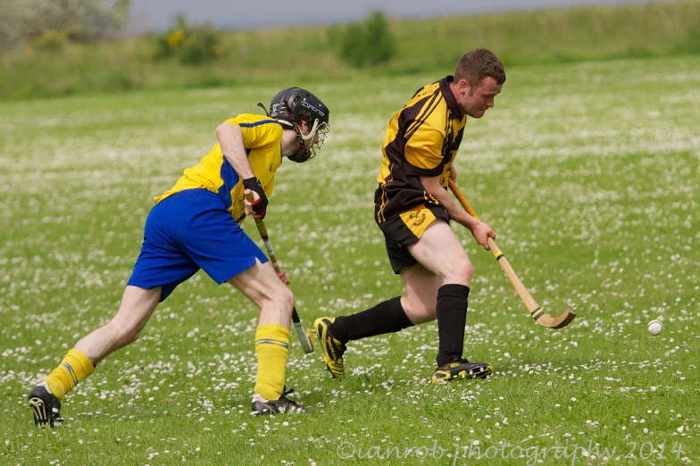 a couple of people playing field hockey on a field