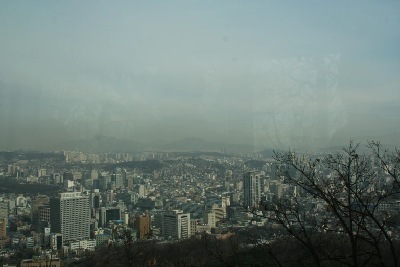 city with tall buildings and trees in foreground