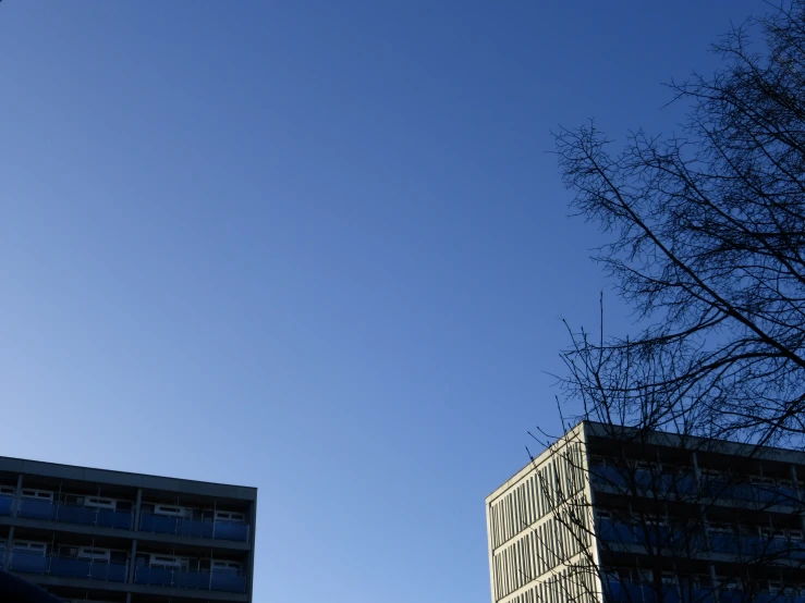 a bird flying over a very tall building