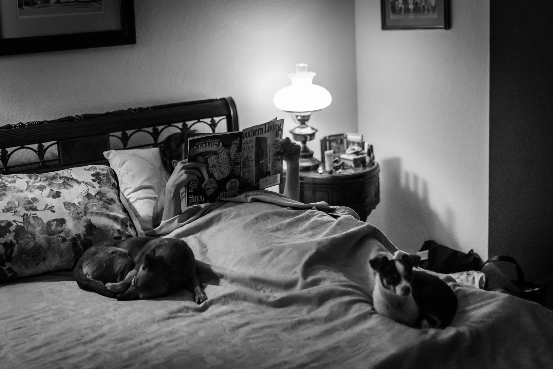 two dogs are laying on the bed near the night light