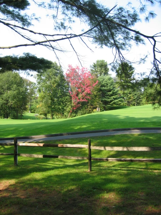 a field with a bench on the side of it