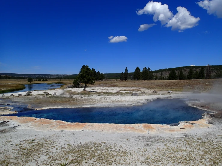 a steaming pool on a open grass covered area