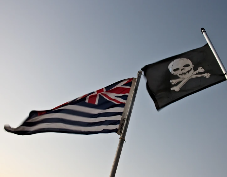 there is a flag with a skull on it