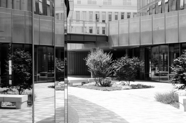 an outside courtyard with several trees and bushes