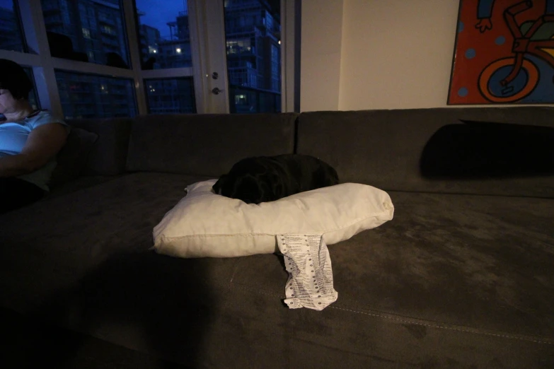 a cat curled up with a pillow on the couch