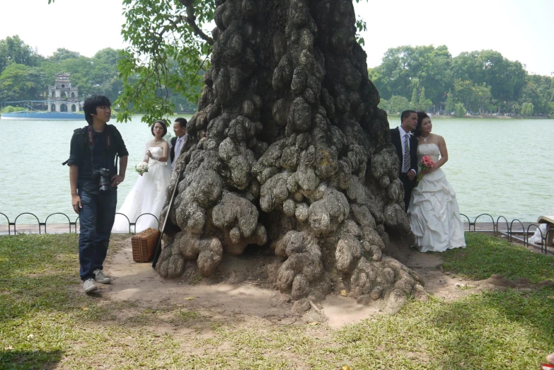 the couple stands next to a huge tree with bears on it