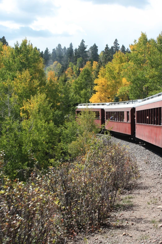 a train with trees in the background