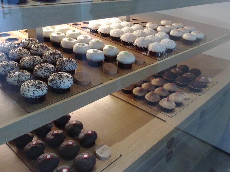 some type of cupcakes sit in a display case