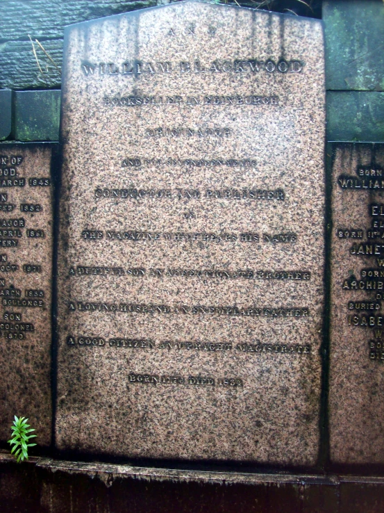 the memorial is covered in writings and surrounded by plant life