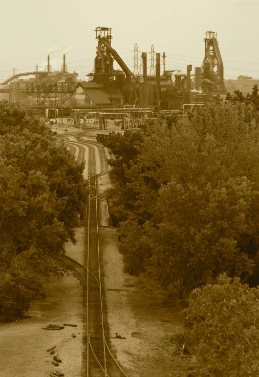 industrial plants grow near train tracks and a building